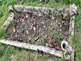 image of grave number 784733